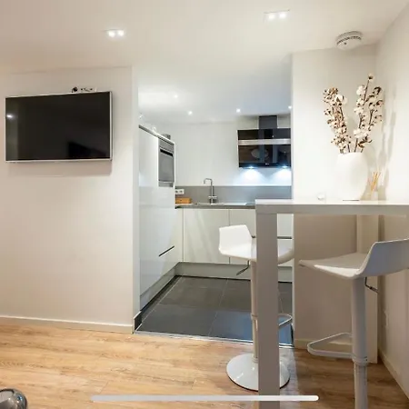 Privat bolig The Palmtree Zandvoort