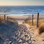 The Palmtree Homestay Zandvoort