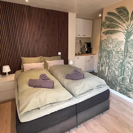 The Palmtree * 잔드보르트