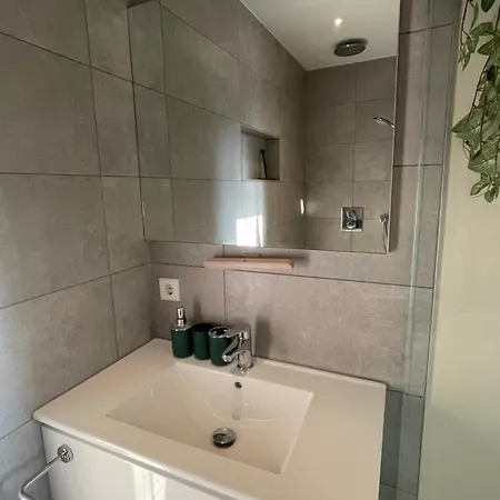 홈스테이 The Palmtree 잔드보르트