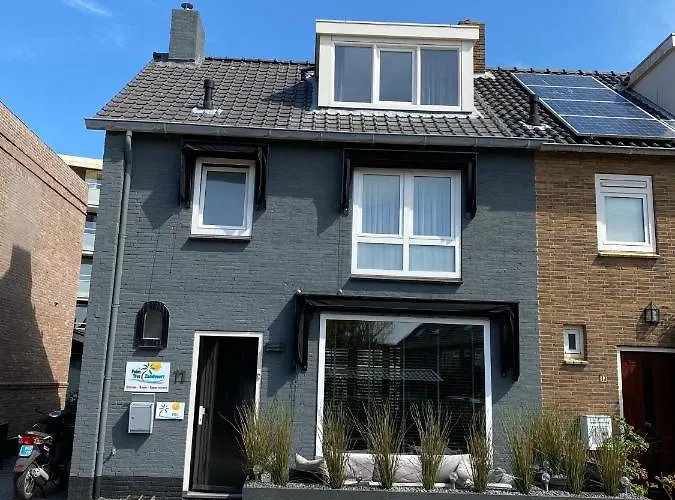 The Palmtree 홈스테이