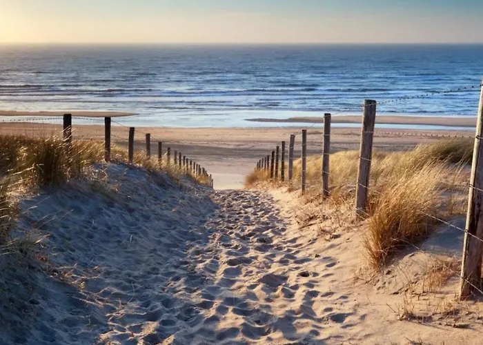 The Palmtree 홈스테이 잔드보르트