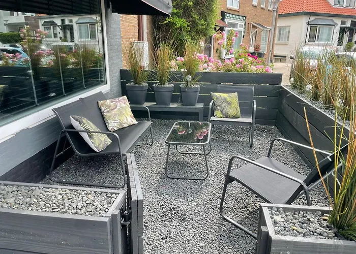 The Palmtree 잔드보르트