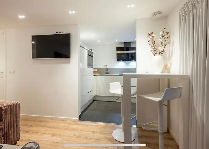 홈스테이 The Palmtree 잔드보르트