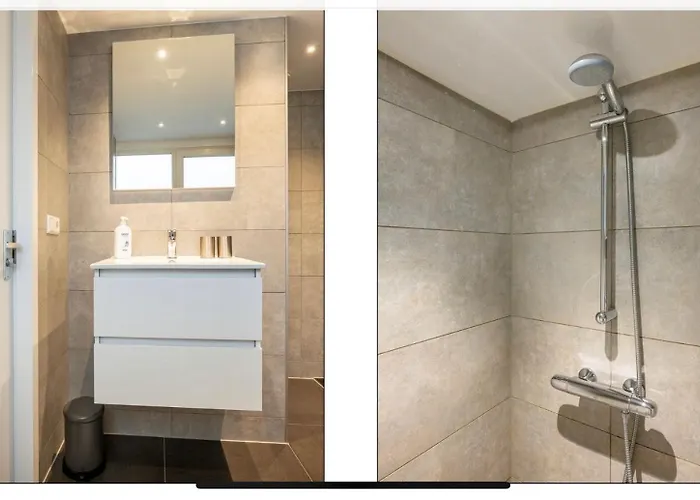 The Palmtree * 잔드보르트