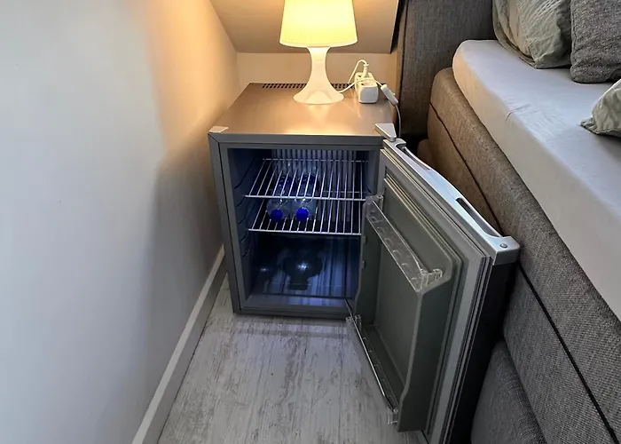 홈스테이 The Palmtree