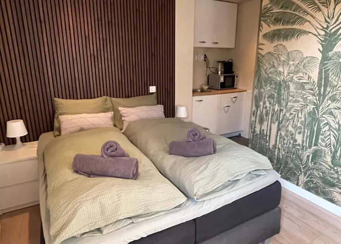 The Palmtree * 잔드보르트