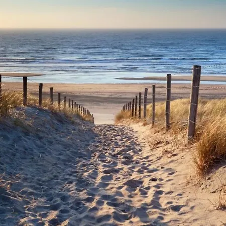 The Palmtree 民宿 赞德沃特